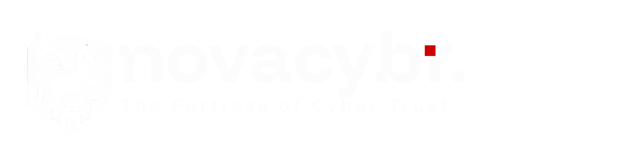 NOVACYBR (6)